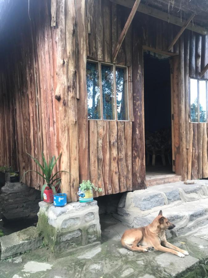 Kalitusi Nature Resort Fort Portal Exterior photo